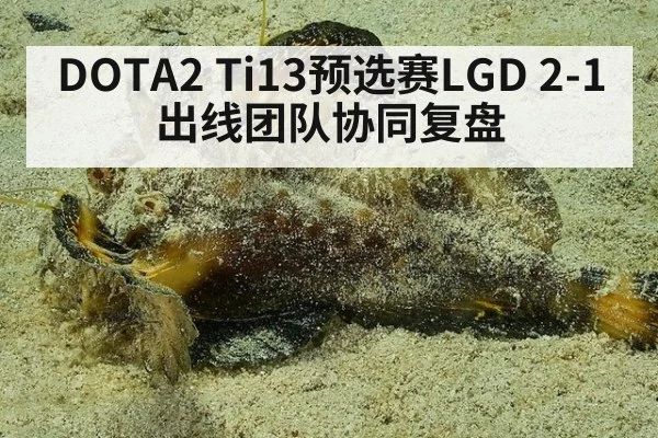 DOTA2 Ti13预选赛LGD 2-1出线团队协同复盘